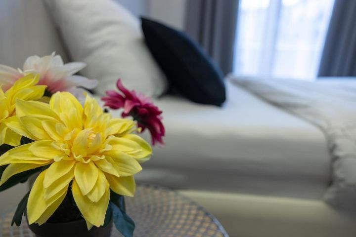 Nart & Niar Apartman Annemasse Kültér fotó